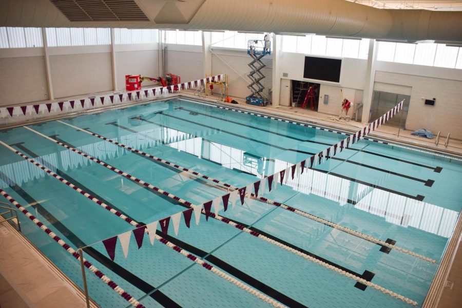 Artistic Indoor Swimming Pool