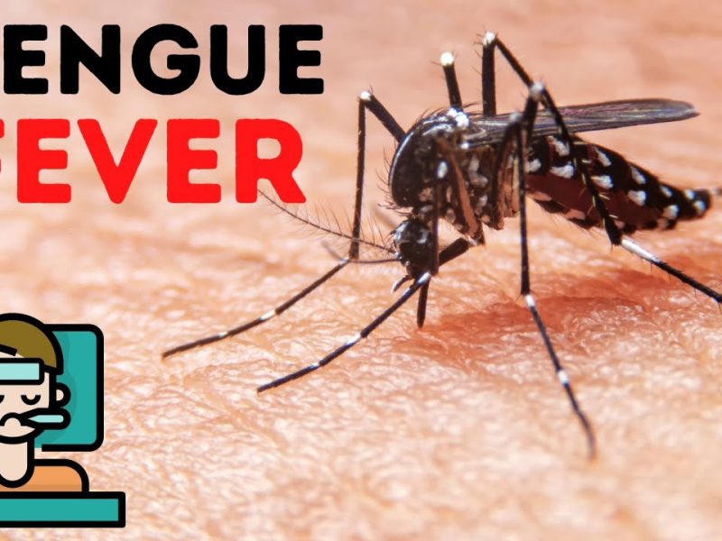 How Many Days Dengue Fever Last