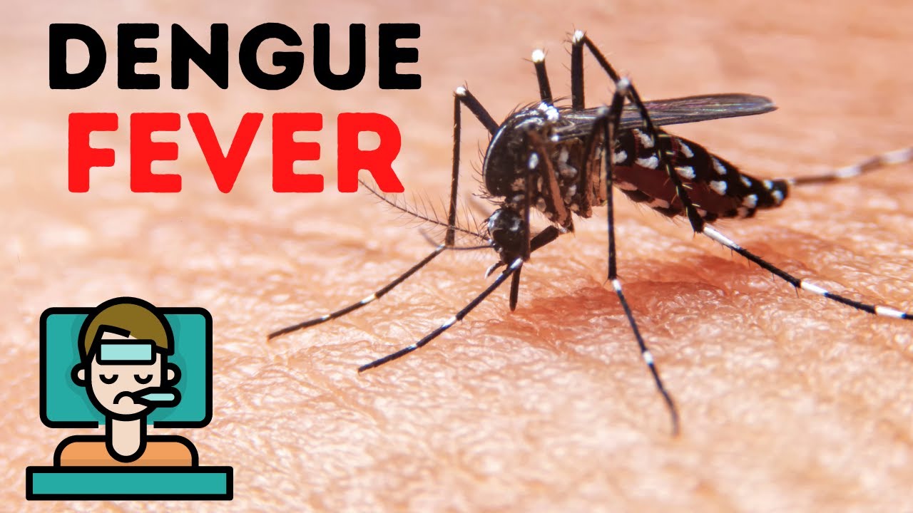 How Many Days Dengue Fever Last
